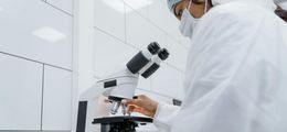 Image: Person in the laboratory looking into a microscope