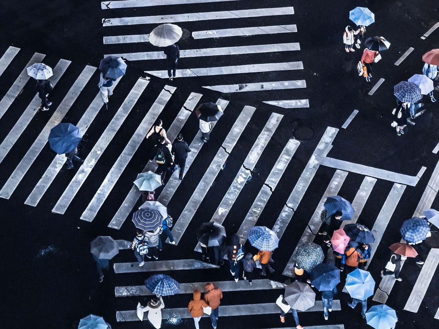 People walking zebra crossing