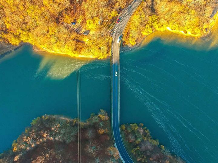 bridge across green to yellow forest